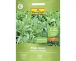 Hornbach Gemüsesamen Salatsamen FloraSelf Rucola Wilde Rauke