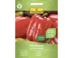 Hornbach Gemüsesamen FloraSelf Paprika 'Yolo Wonder'