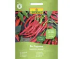 Hornbach Gemüsesamen FloraSelf Chilli 'De Cayenne'
