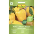 Hornbach Gemüsesamen FloraSelf Paprika 'Yellow California Wonder'