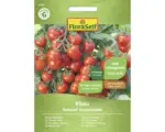 Hornbach Gemüsesamen FloraSelf Kirschtomate 'Vilma'