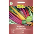 Hornbach Gemüsesamen FloraSelf Select Mangold 'Bright Lights'