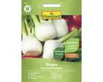 Hornbach Gemüsesamen FloraSelf Knollenfenchel 'Dragon F1'