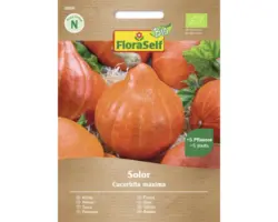 Gemüsesamen FloraSelf Bio Kürbis 'Solor F1'