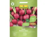 Hornbach Gemüsesamen FloraSelf Radieschen 'Lucia F1'