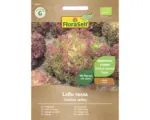 Hornbach Salatsamen FloraSelf Bio Schnittsalat/Pflücksalat 'Lollo rossa'