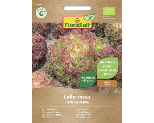 Salatsamen FloraSelf Bio Schnittsalat/Pflücksalat 'Lollo rossa'