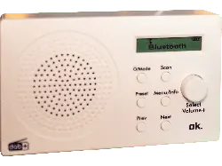 ok. ORD 101 BT-WT-1 Tragbares DAB+ Digitalradio mit Bluetooth