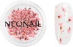 dm-drogerie markt NÉONAIL Nail Art Dried Flowers 01 Pink - Spring Collection - bis 31.03.2024