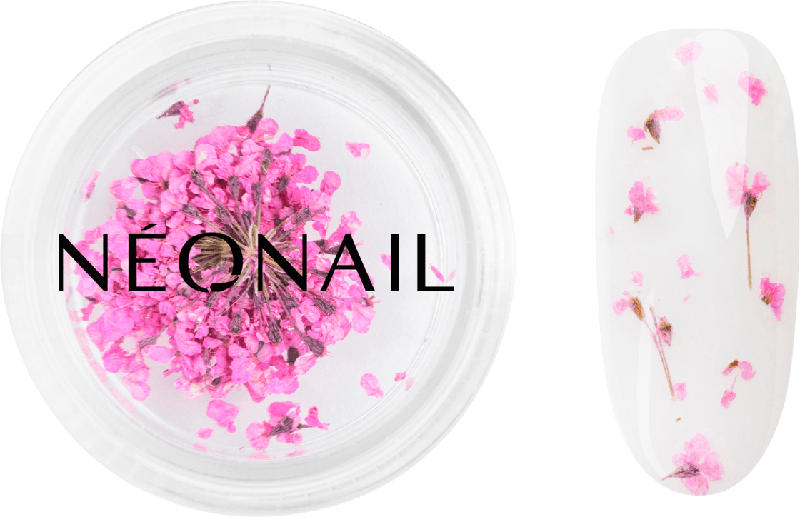 NÉONAIL Nail Art Dried Flowers 02 Purple - Spring Collection