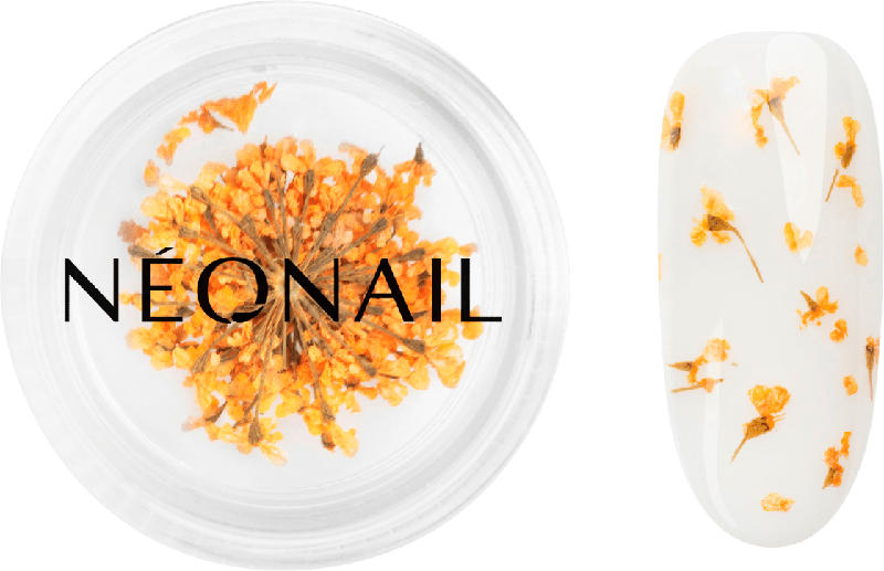 NÉONAIL Nail Art Dried Flowers 03 Orange - Spring Collection