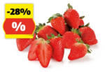 HOFER HOFER MARKTPLATZ Erdbeeren, 500 g - bis 25.03.2024