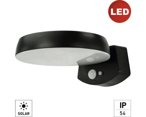 LED Aufbauleuchte Wandleuchte e2 Solaris 2 W neutralweiß 1-flammig IP 54 anthrazit (2528000311696)