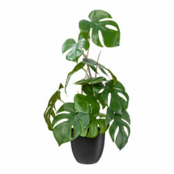 Kunstpflanze GREENY-2525, Kunststoff, grün