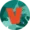 Vivera