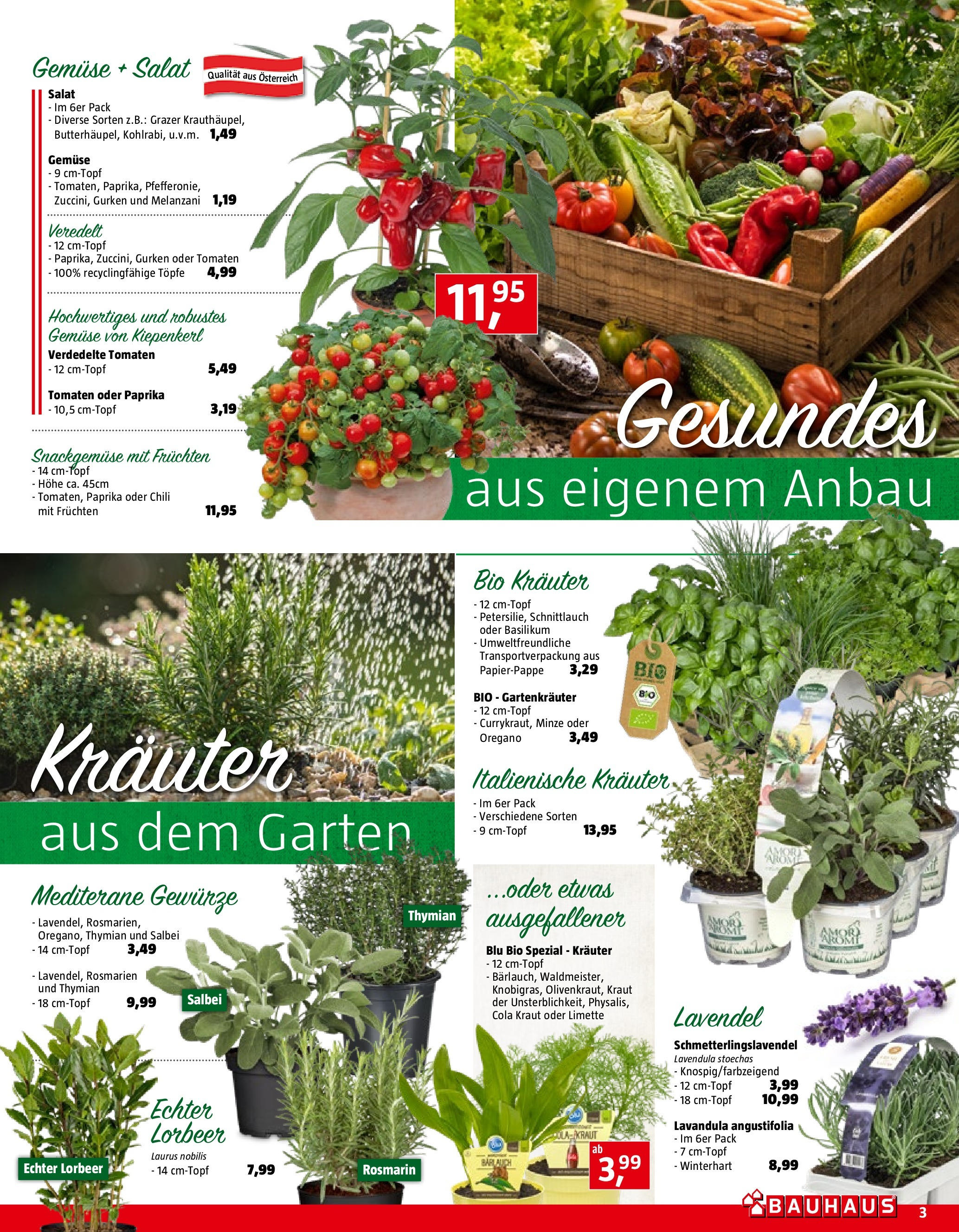 Bauhaus Prospekt aktuell von 03.04.2024 - Aktuelle Angebote | Seite: 3 | Produkte: Gemüse, Chili, Kraut, Limette