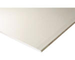 Hornbach Knauf Gipskartonplatte Feuerschutzplatte GKF 2000 x 1250 x 15 mm