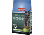 Hornbach Katzenfutter trocken MR.BEEF Indoor 3 kg