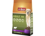 Hornbach Hundefutter trocken MR.BEEF Getreidefrei 4 kg