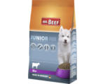 Hornbach Hundefutter trocken MR.BEEF Junior 4 kg