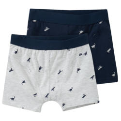 2 Jungen Boxer mit Dino-Motiven