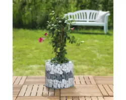 Gabione Wilk Amber M Ø 39 x 32,5 cm