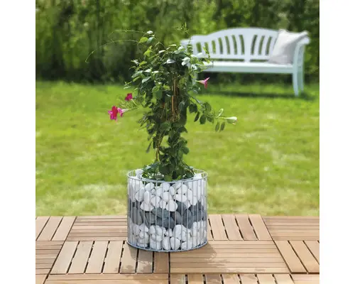 Gabione Wilk Amber M Ø 39 x 32,5 cm