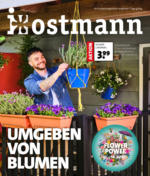 Blumen Ostmann GmbH Blumen Ostmann - Umgeben von Blumen - bis 17.04.2024