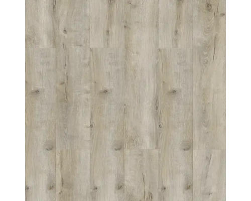 Laminatboden CLASSEN 8.0 Oak beig