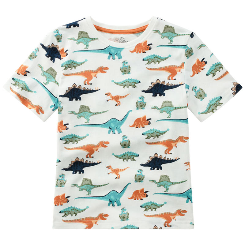 Jungen T-Shirt mit Dinos allover