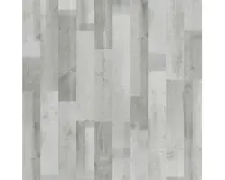 Laminatboden 8.0 KIEFER TREVISIO