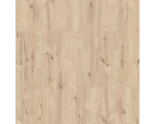 Laminatboden Classen 8.0 Eiche beige