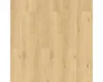 Hornbach Laminat Skyline Large Amado XL
