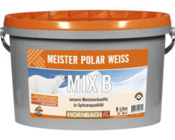 HORNBACH Meister Polarweiß Wandfarbe im Wunschfarbton mischen lassen