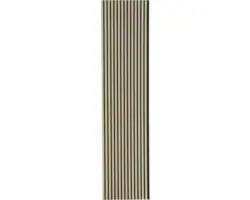 Akustikpaneel Eiche natur furnier 19x572x2670 mm
