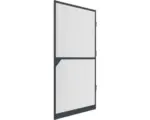 Hornbach Insektenschutz Alu-Tür XL Schraubmontage anthrazit 120x240 cm