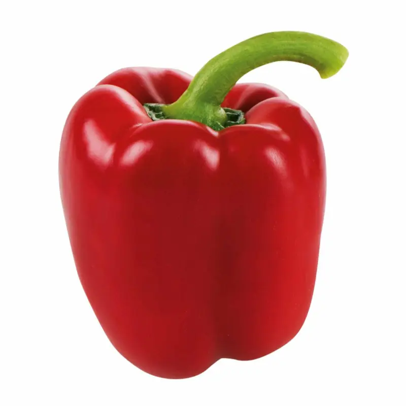 Da komm ich her! Paprika Rot