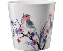 Blumentopf Pflanztopf Soendgen Keramik Ton Ø 14 cm 14 x 14 x 13 cm weiß