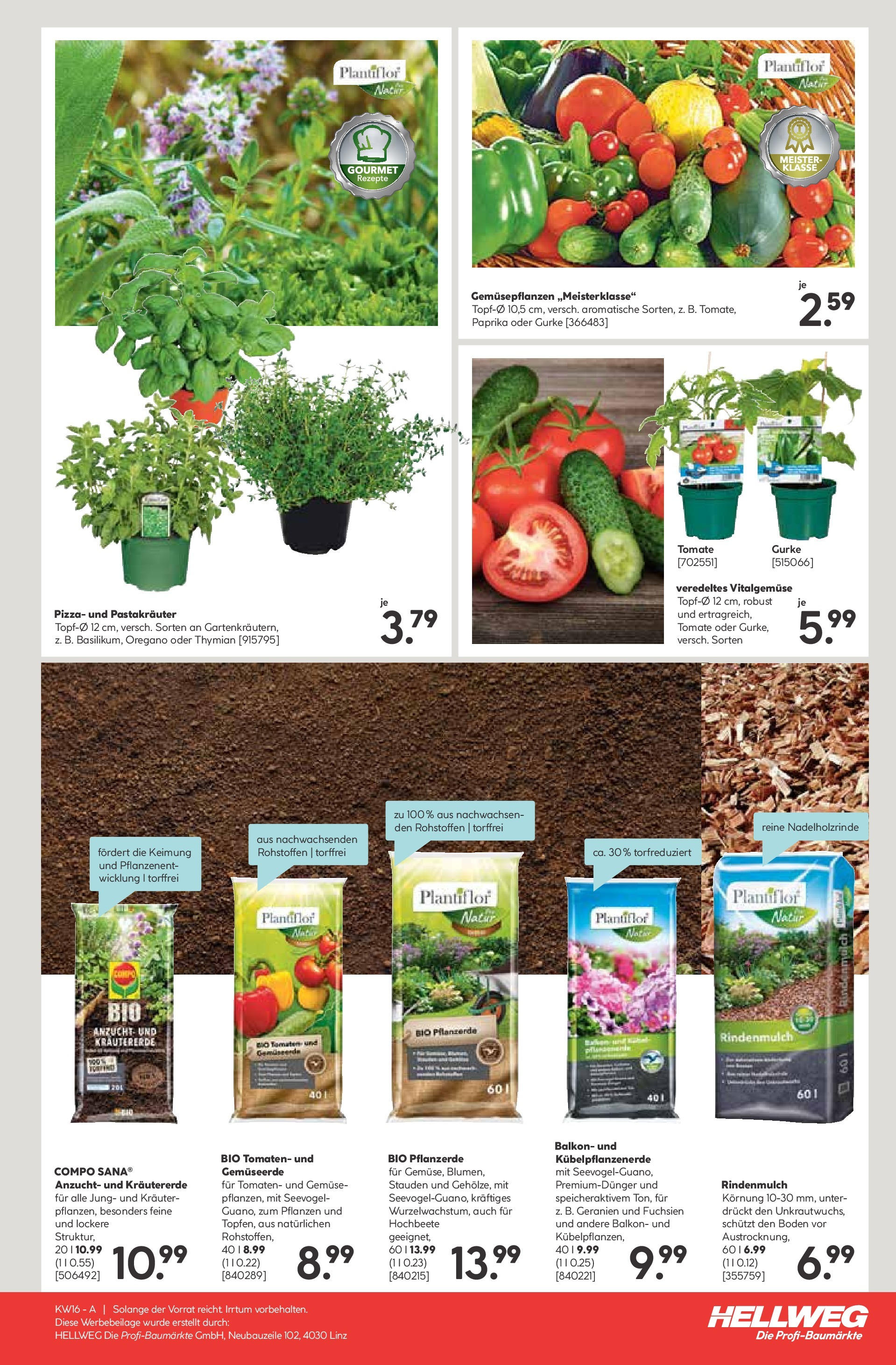 HELLWEG Flugblatt von 18.04.2024 - Aktuelle Angebote | Seite: 15 | Produkte: Gemüse, Pizza, Tomaten