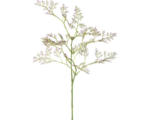 Hornbach Kunstblume Limonium Höhe: 65 cm lila