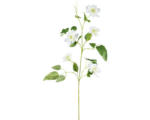 Hornbach Kunstblume Clematis Höhe: 109 cm weiß