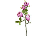 Hornbach Kunstblume Magnolie Höhe: 67 cm pink