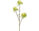 Hornbach Kunstblume Allium Höhe: 62 cm grün