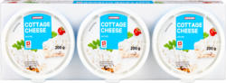 Cottage Cheese Denner, al naturale, 3 x 200 g