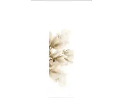 Flächenvorhang Digitaldruck Kessi sand 60x245 cm