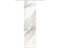 Flächenvorhang Digitaldruck Sumani natur 60x245 cm