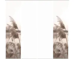 Flächenvorhang-Set Trawy 4er natur 60x245 cm