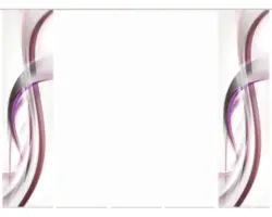 Flächenvorhang-Set Fala 5er beere 60x245 cm