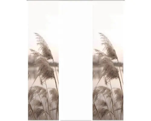 Flächenvorhang-Set Trawy 3er natur 60x245 cm