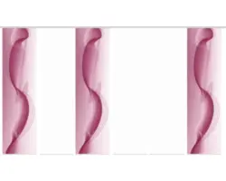 Flächenvorhang-Set Filiz 6er rot 60x245 cm